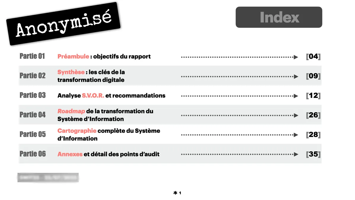 Aperçu du sommaire du rapport d'audit anonymisé